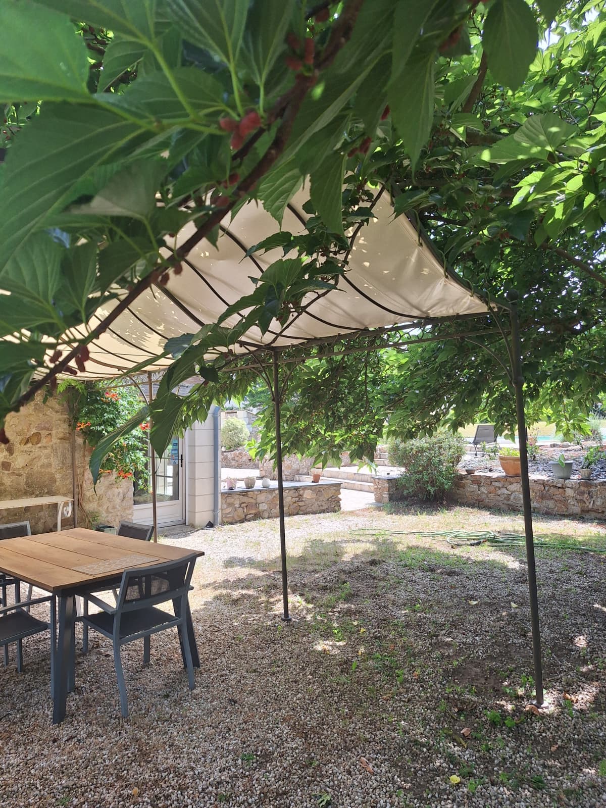 La pergola sous le mûrier — vue 1